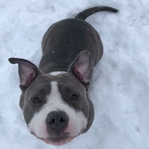 Meet your Posher, Elexis